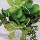 Non-Message Card Luxury Circle Bangle *